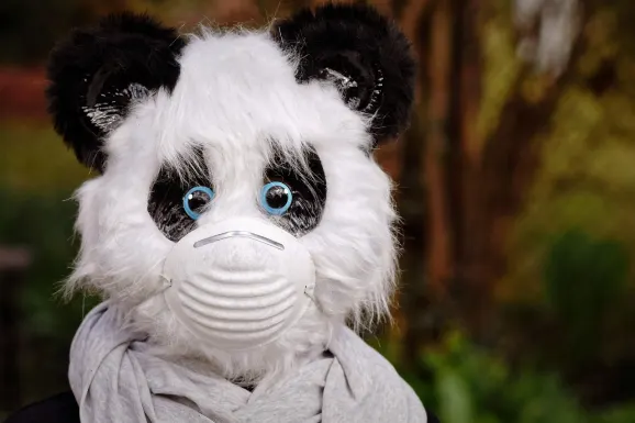 Thunderbolt Casino Support